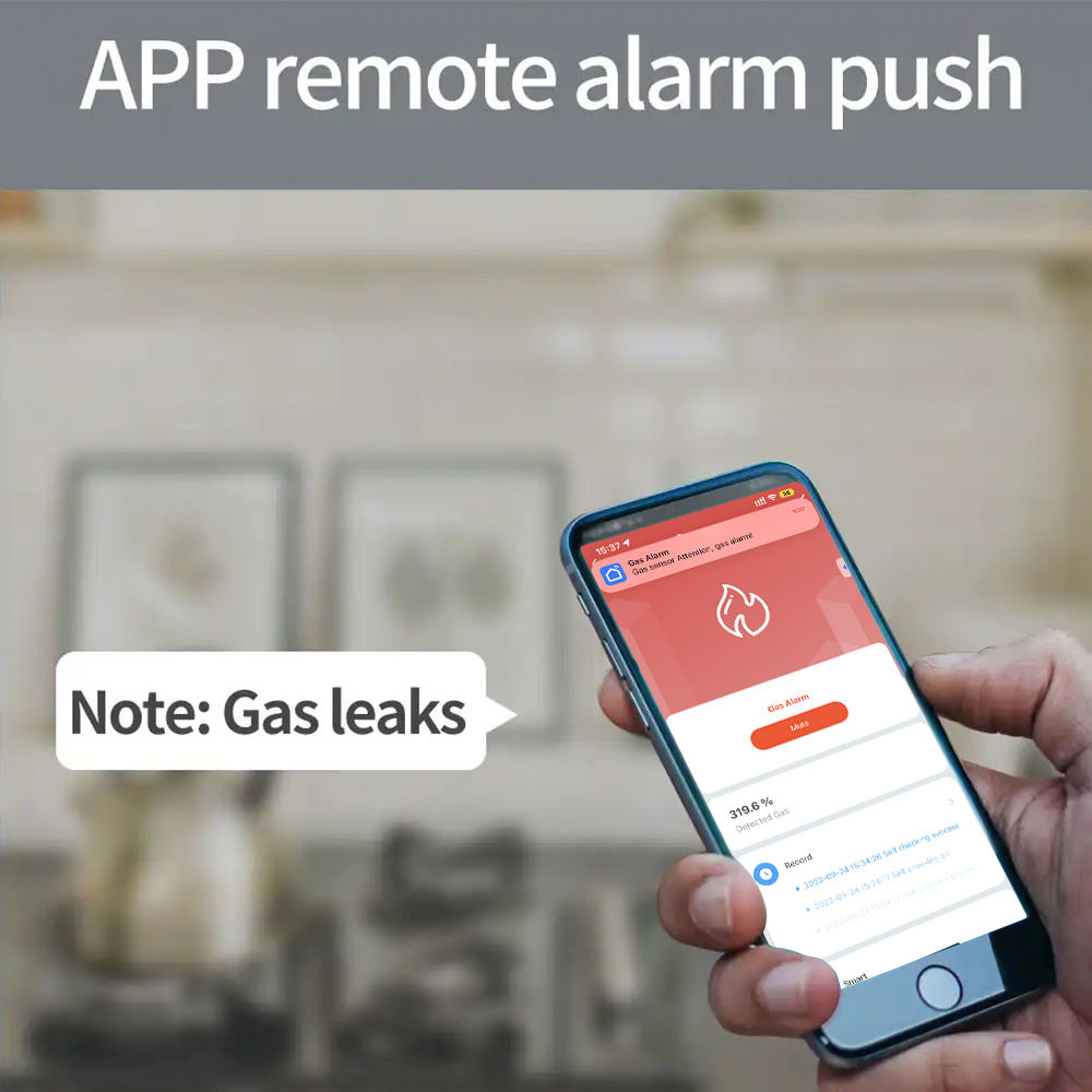 Smart Wireless Gas Detector in Pakistan