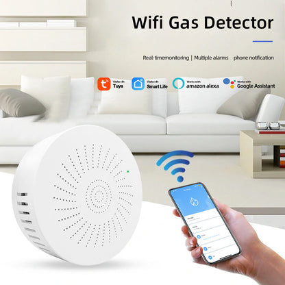 Smart Wireless Gas Detector in Pakistan